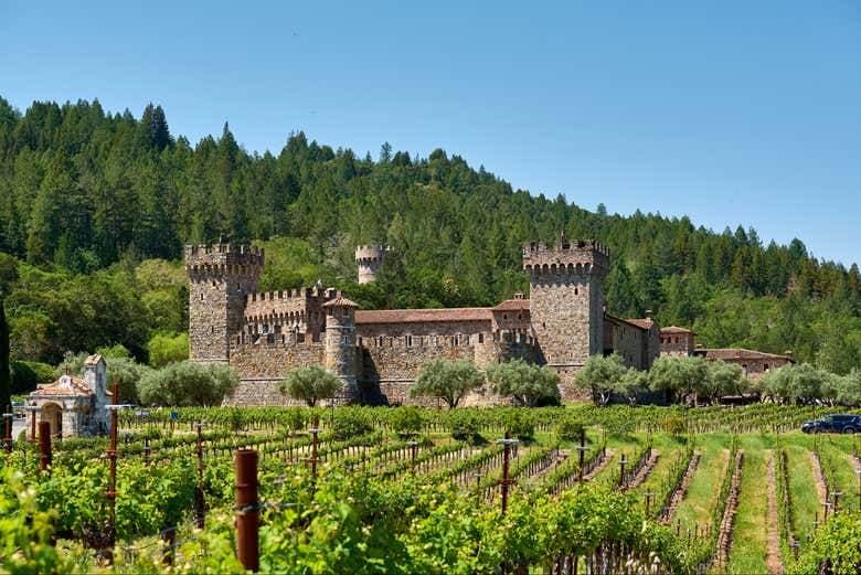 Domaine viticole Castello di Amorosa
