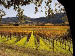 La vallée de Napa