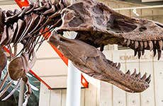 Guide de San Francisco